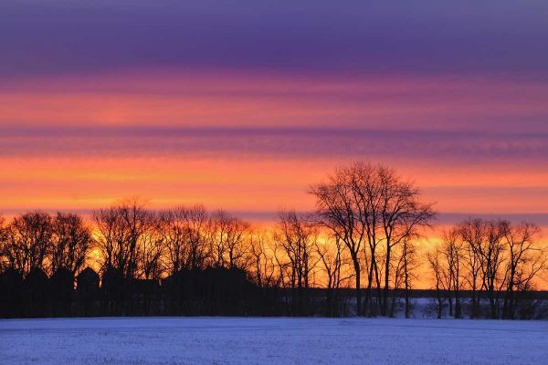 Canada, Manitoba, Dauphin Farmstead at dusk